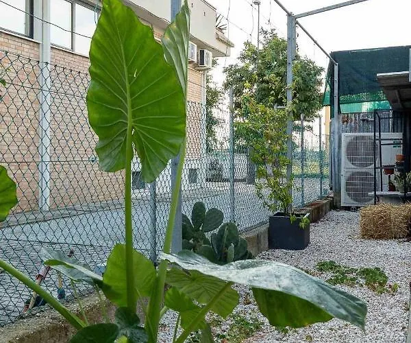 Spazio Ancora A 500 M. Dal Mare Appartement *