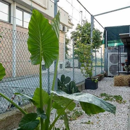 Spazio Ancora A 500 M. Dal Mare Appartement *